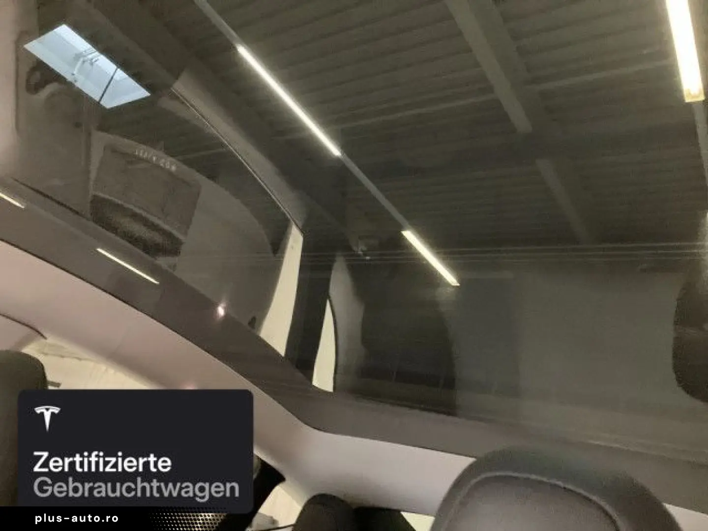 TESLA Model Y Rear-Wheel Drive