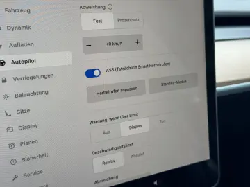 TESLA Model 3 Long Range Dual AWD   EAP   8fachbereift