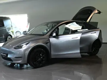 TESLA Model Y Long Range Dual AWD Pano ACC 20