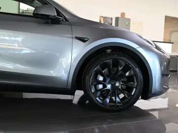 TESLA Model Y Long Range Dual AWD Pano ACC 20