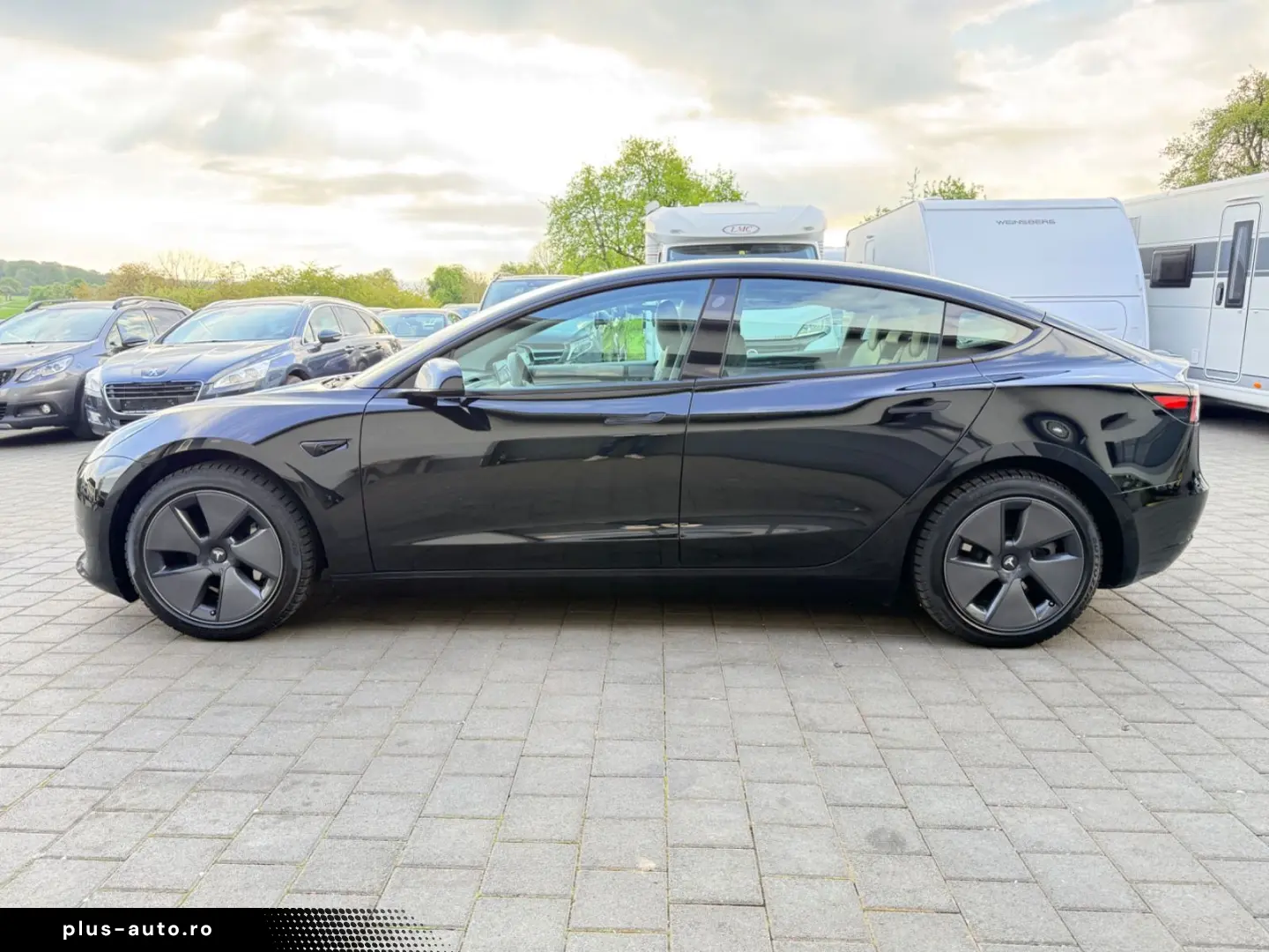 TESLA Model 3 SR AMD