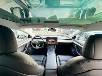 TESLA Model 3 SR AMD