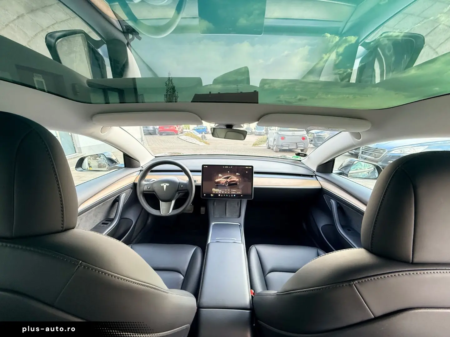 TESLA Model 3 SR AMD