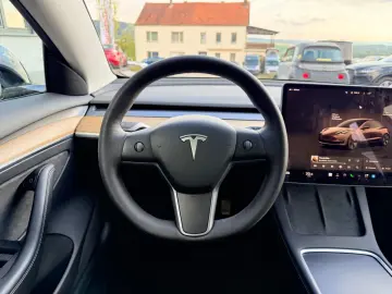 TESLA Model 3 SR AMD