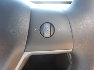 TESLA Model 3 Long Range Dual AWD Pano ACC Navi