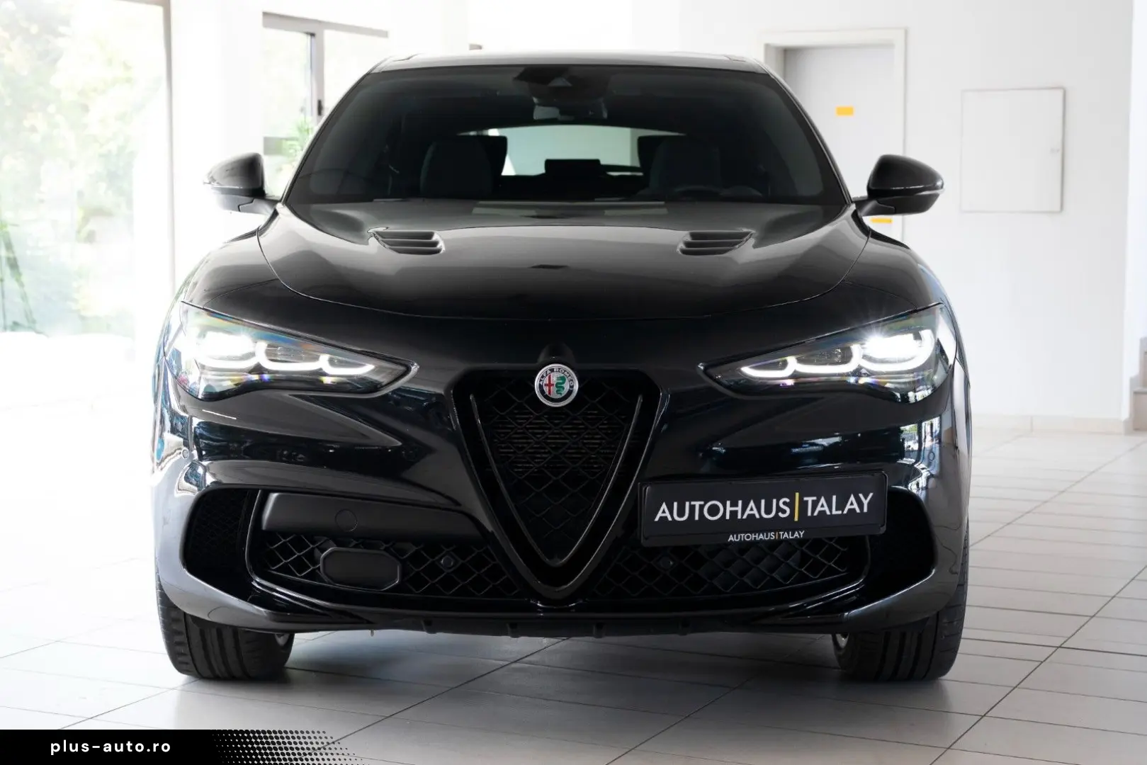ALFA ROMEO Stelvio Quadrifoglio Q4 Pano H&K ACC