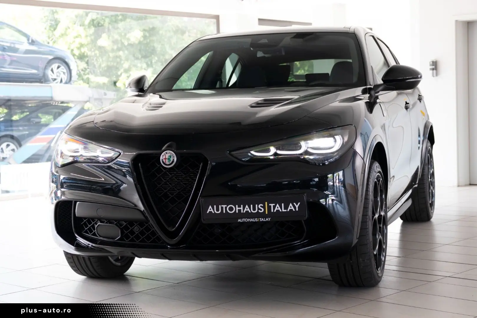 ALFA ROMEO Stelvio Quadrifoglio Q4 Pano H&K ACC