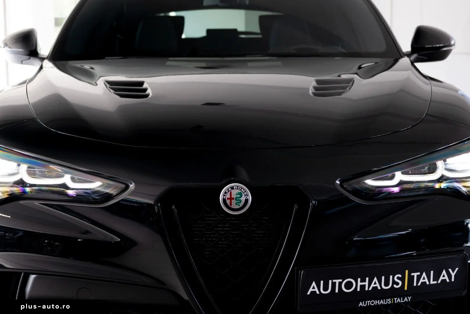 ALFA ROMEO Stelvio Quadrifoglio Q4 Pano H&K ACC