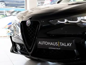ALFA ROMEO Stelvio Quadrifoglio Q4 Pano H&K ACC