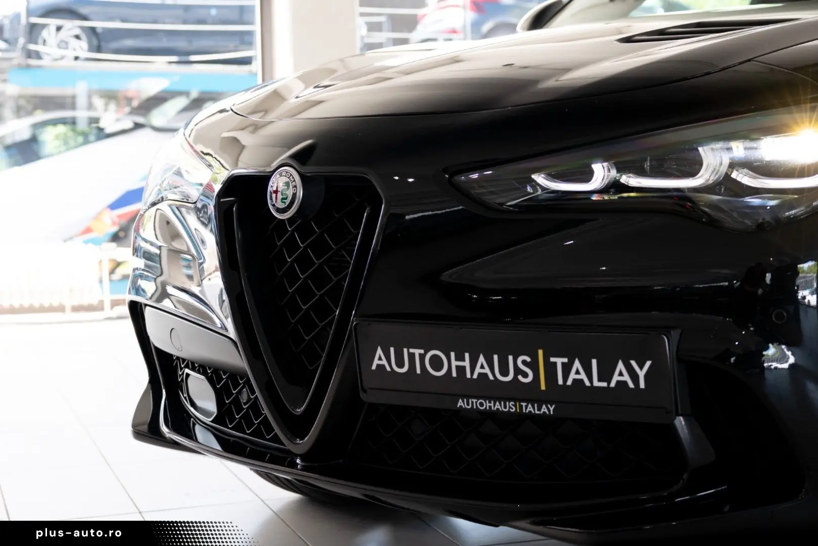 ALFA ROMEO Stelvio Quadrifoglio Q4 Pano H&K ACC