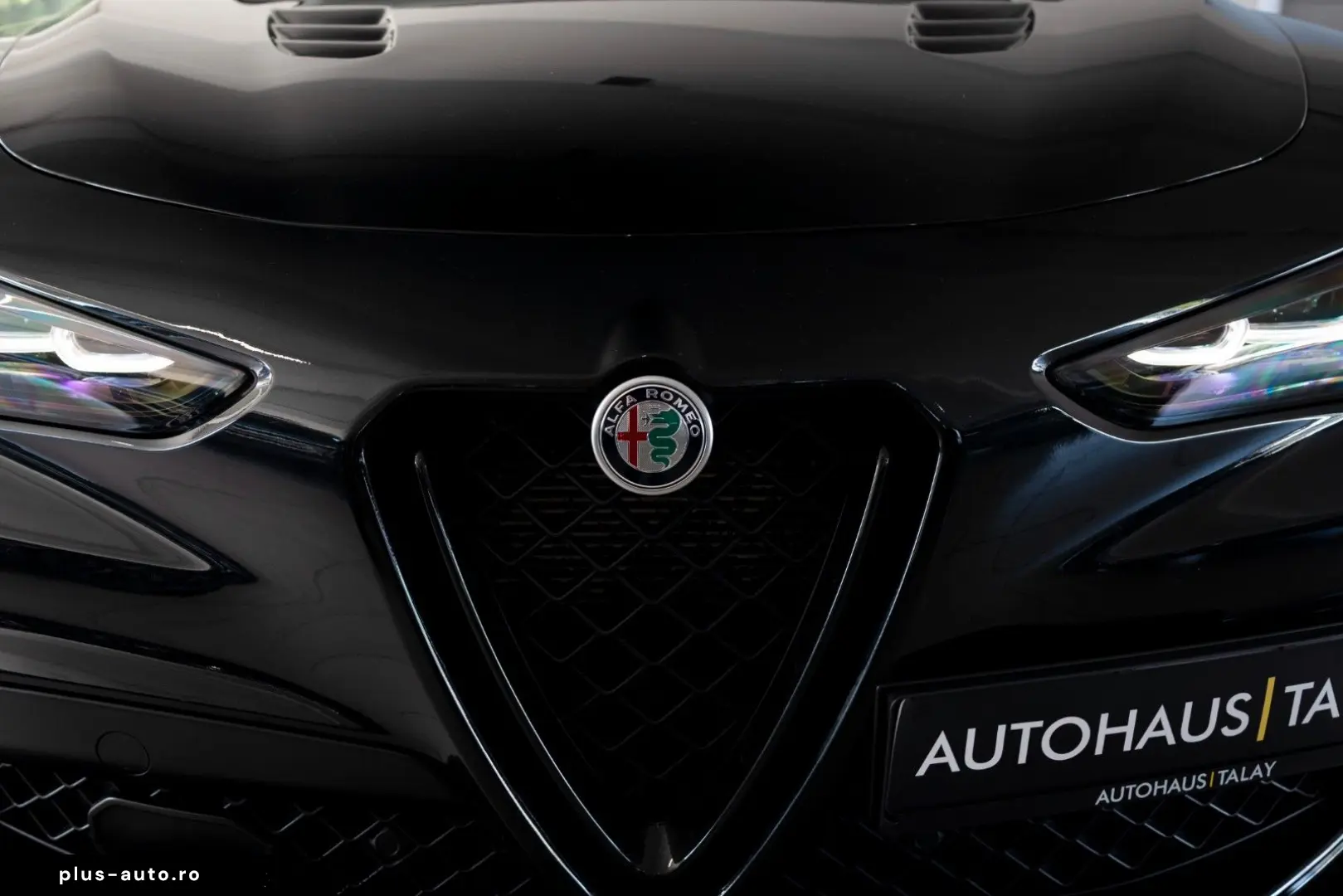 ALFA ROMEO Stelvio Quadrifoglio Q4 Pano H&K ACC