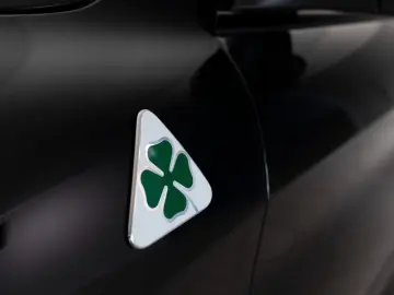 ALFA ROMEO Stelvio Quadrifoglio Q4 Pano H&K ACC