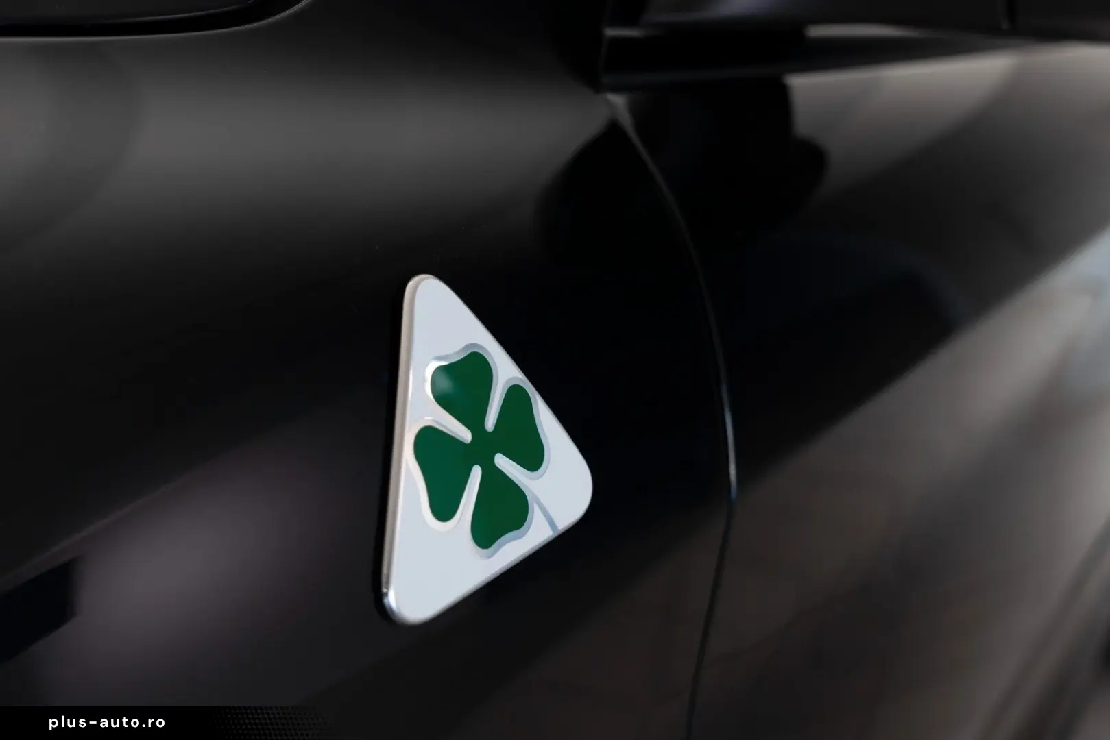 ALFA ROMEO Stelvio Quadrifoglio Q4 Pano H&K ACC