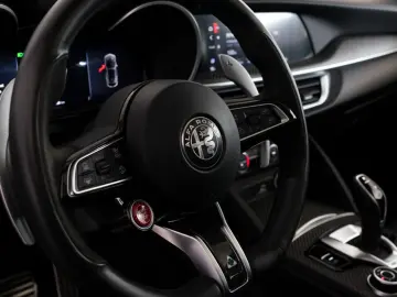 ALFA ROMEO Stelvio Quadrifoglio Q4 Pano H&K ACC