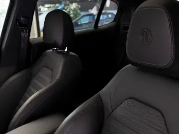 ALFA ROMEO Stelvio Quadrifoglio Q4 Pano H&K ACC