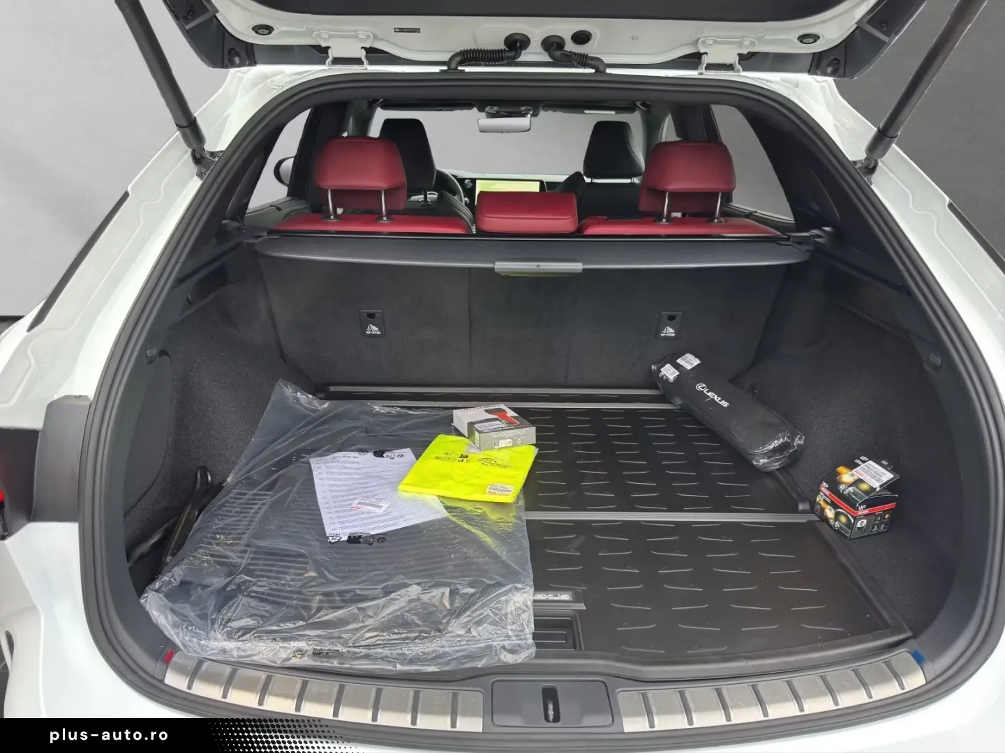 Lexus RX 500 h F-Sport  PANO SOFORT