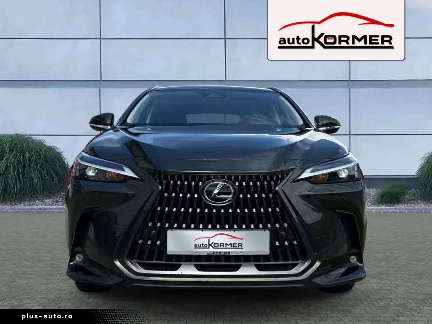 Lexus NX 450h  E-FOUR Business ACC Camera 20inch Navi