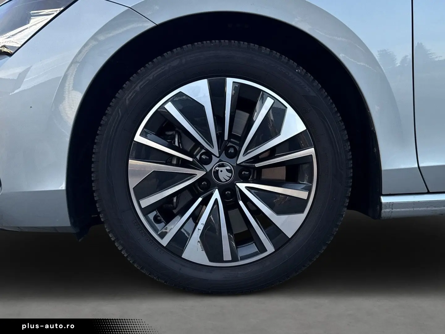 SKODA Combi 2.0 TSI 265PS AHK PANO Matrix Head up