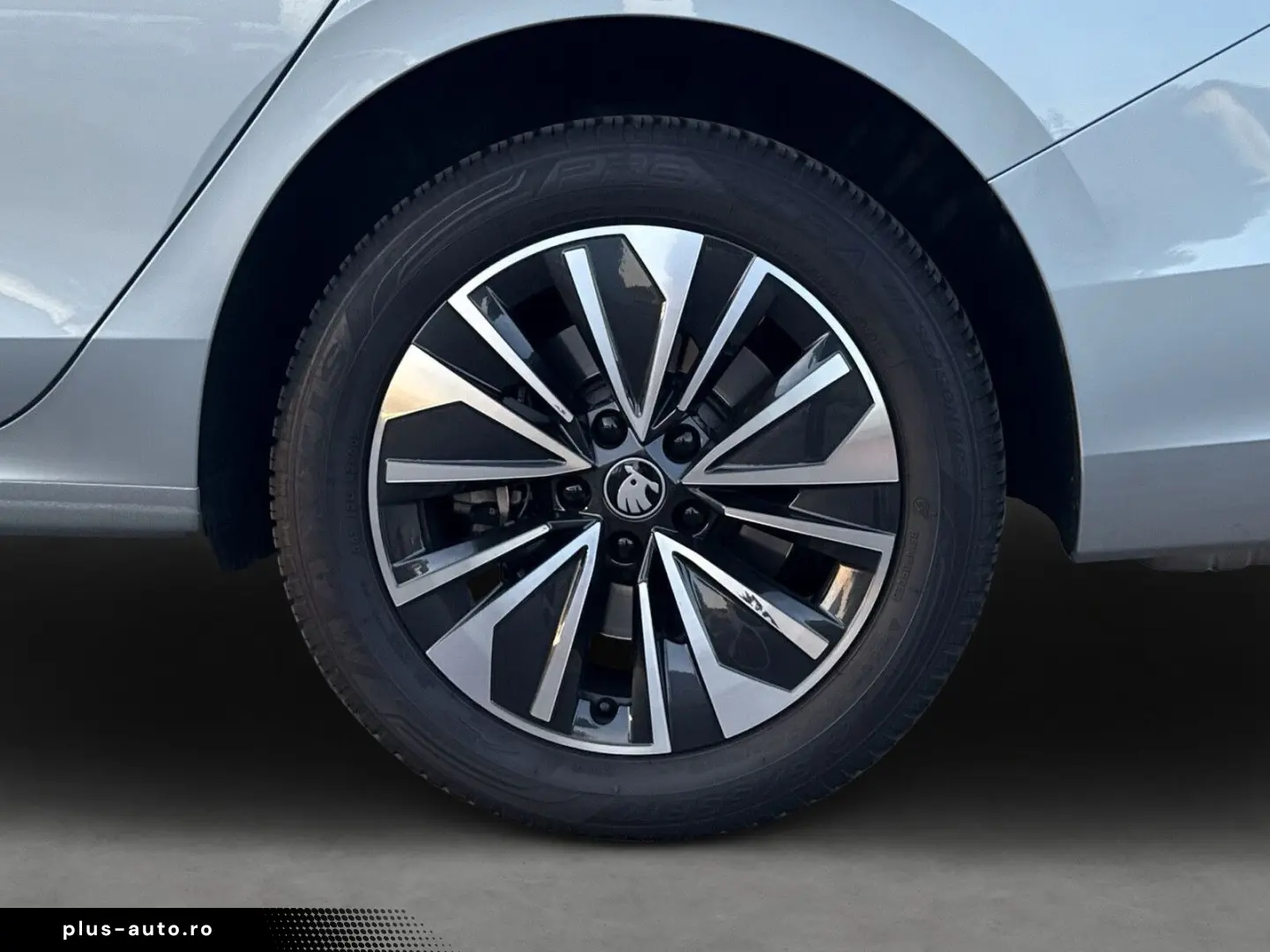 SKODA Combi 2.0 TSI 265PS AHK PANO Matrix Head up