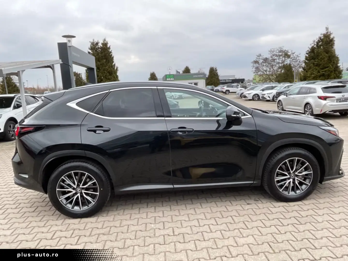 Lexus NX 350h Executive Line Inter.   Techno. -Package