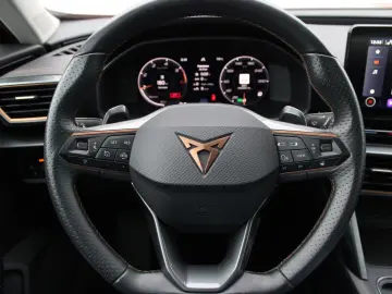 CUPRA Formentor 2.0 TDI 4Drive LED Ahk Rfk ACC