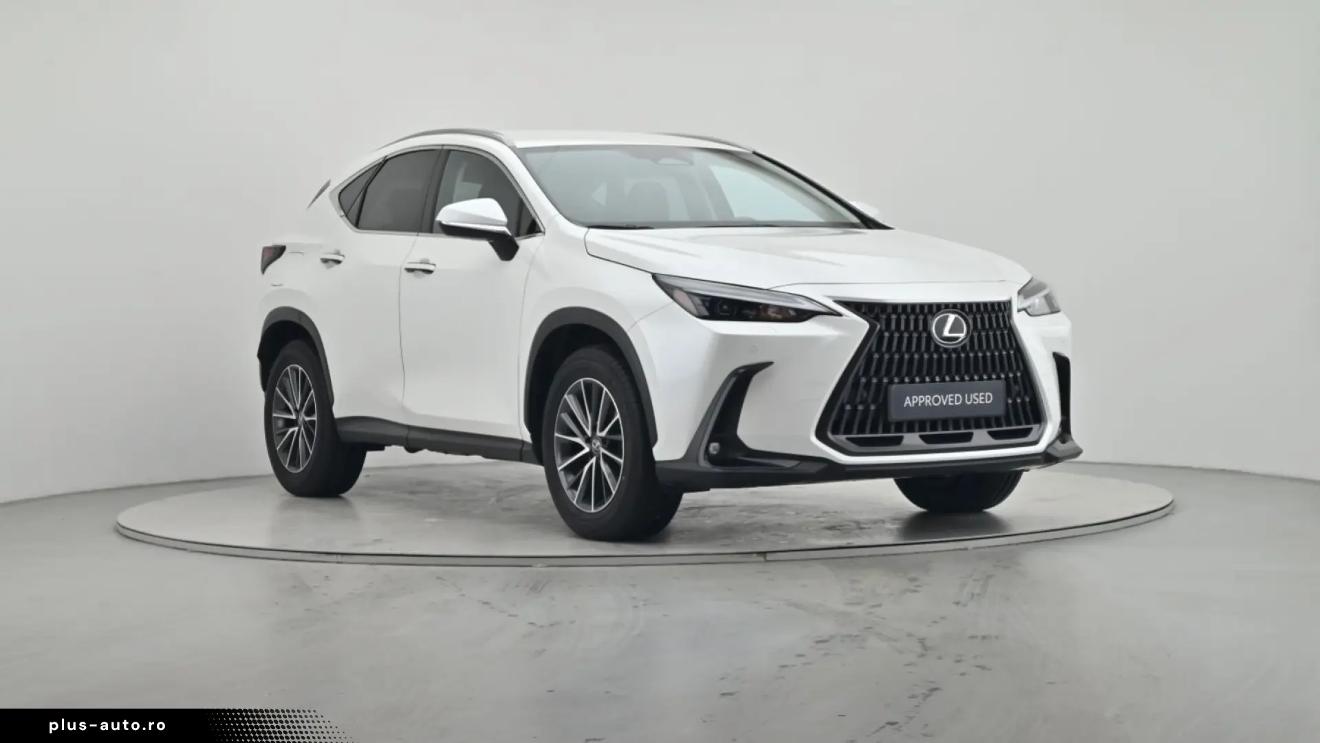 LEXUS NX 450h  E-FOUR Business LEDER NAVI CAM LED AHK