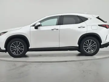LEXUS NX 450h  E-FOUR Business LEDER NAVI CAM LED AHK