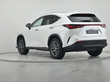 LEXUS NX 450h  E-FOUR Business LEDER NAVI CAM LED AHK