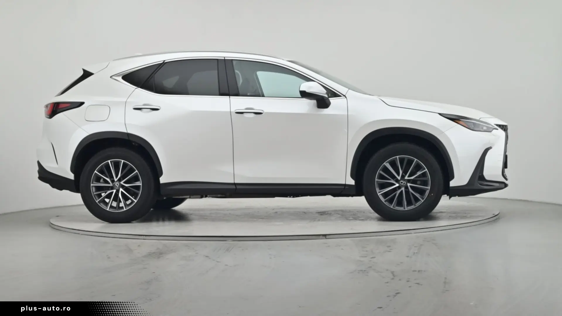 LEXUS NX 450h  E-FOUR Business LEDER NAVI CAM LED AHK