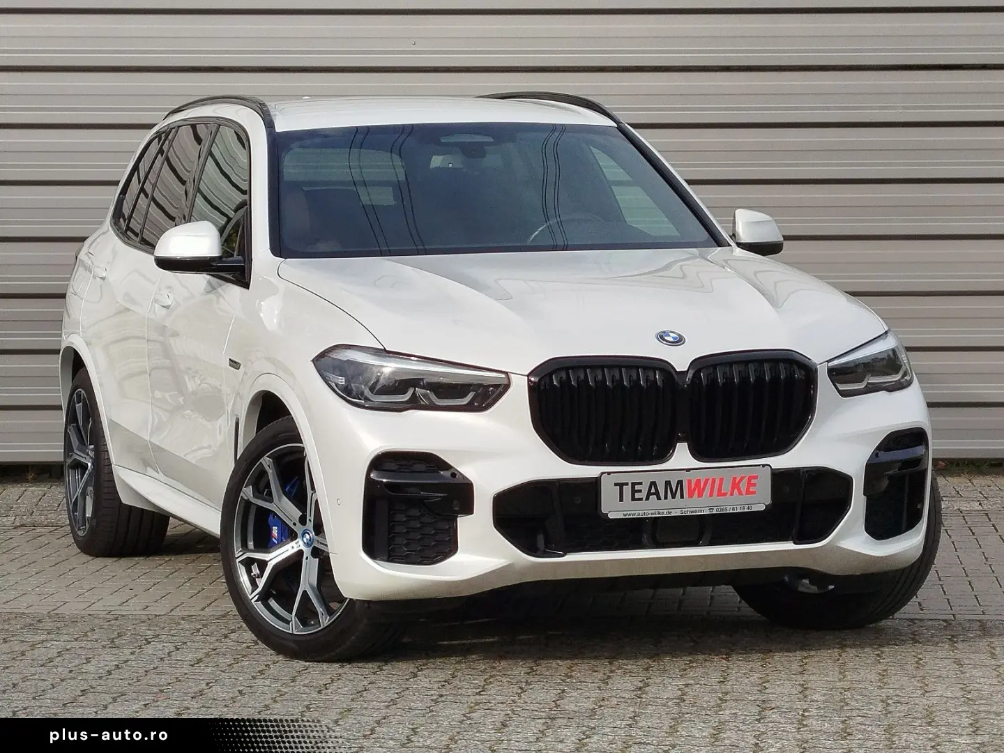BMW X5 XDrive 45e M Sport AHZ DAB KAM Winterräder