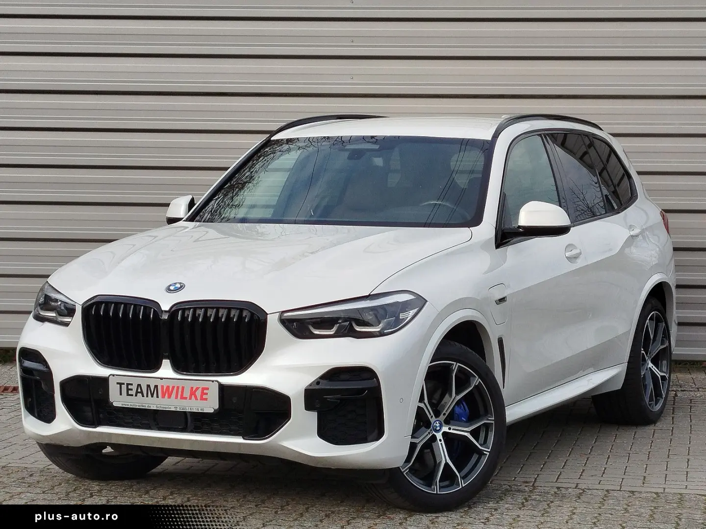 BMW X5 XDrive 45e M Sport AHZ DAB KAM Winterräder