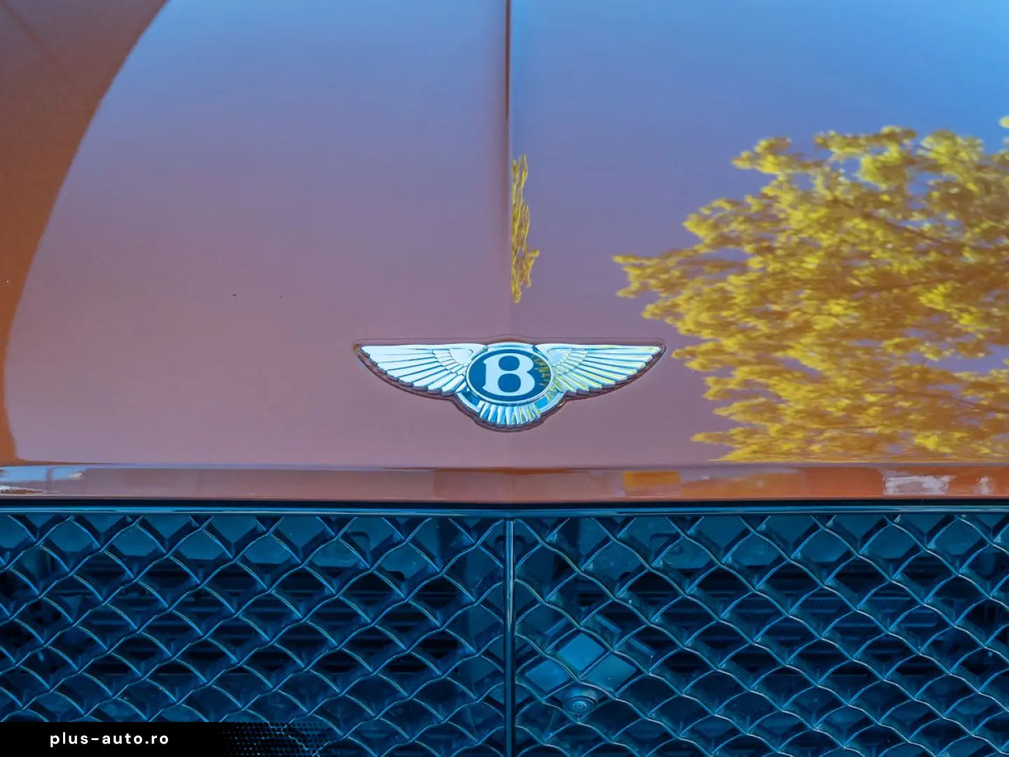 BENTLEY Continental GTC S V8   LNP 370.000 -