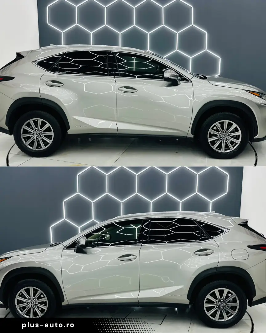 LEXUS NX-300H 2019 2.5i   HybridE6 Garantie 12 Luni Rate Ava
