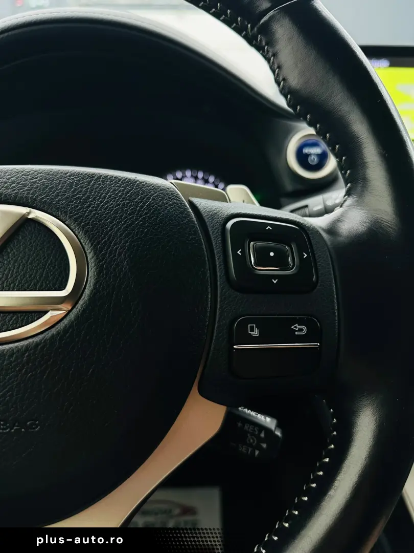 LEXUS NX-300H 2019 2.5i   HybridE6 Garantie 12 Luni Rate Ava