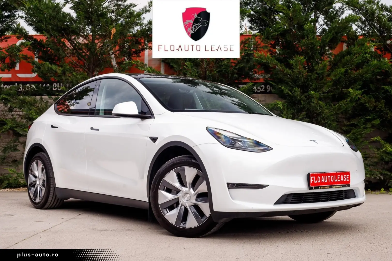 Tesla T-Model-Y