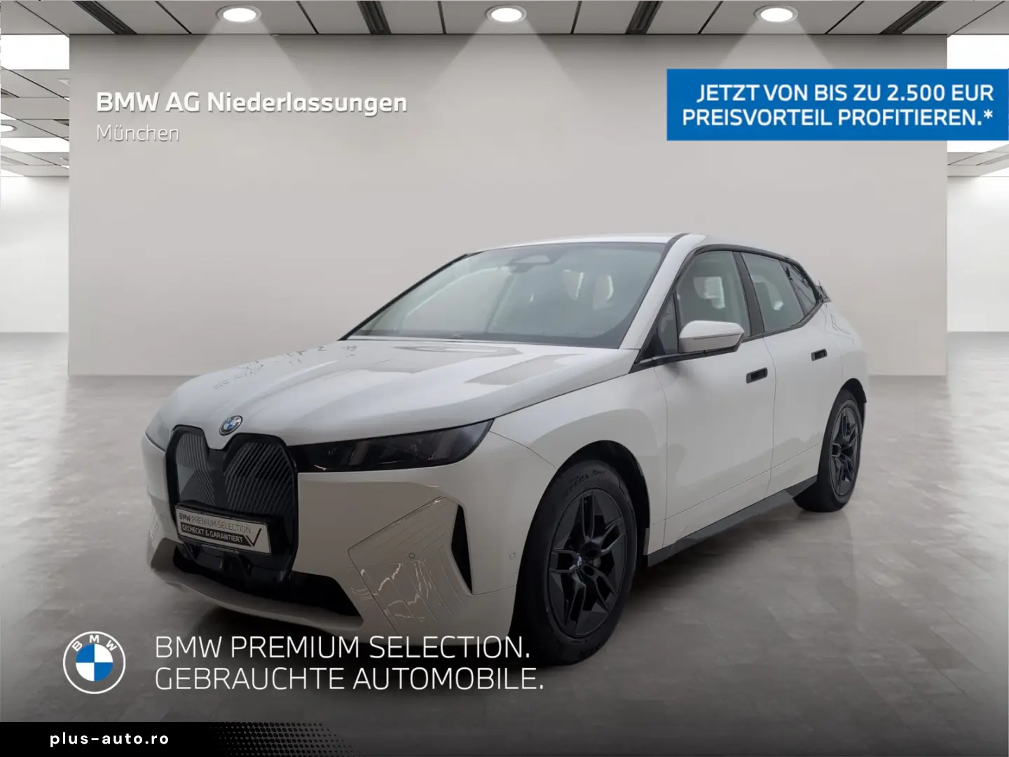 BMW iX xDrive45 AHK Driv.Assist  Harman K Kamera