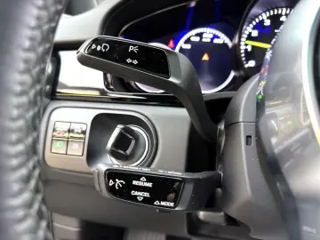 PORSCHE Cayenne E-Hybrid  PDLS PASM 21  LED LHZG