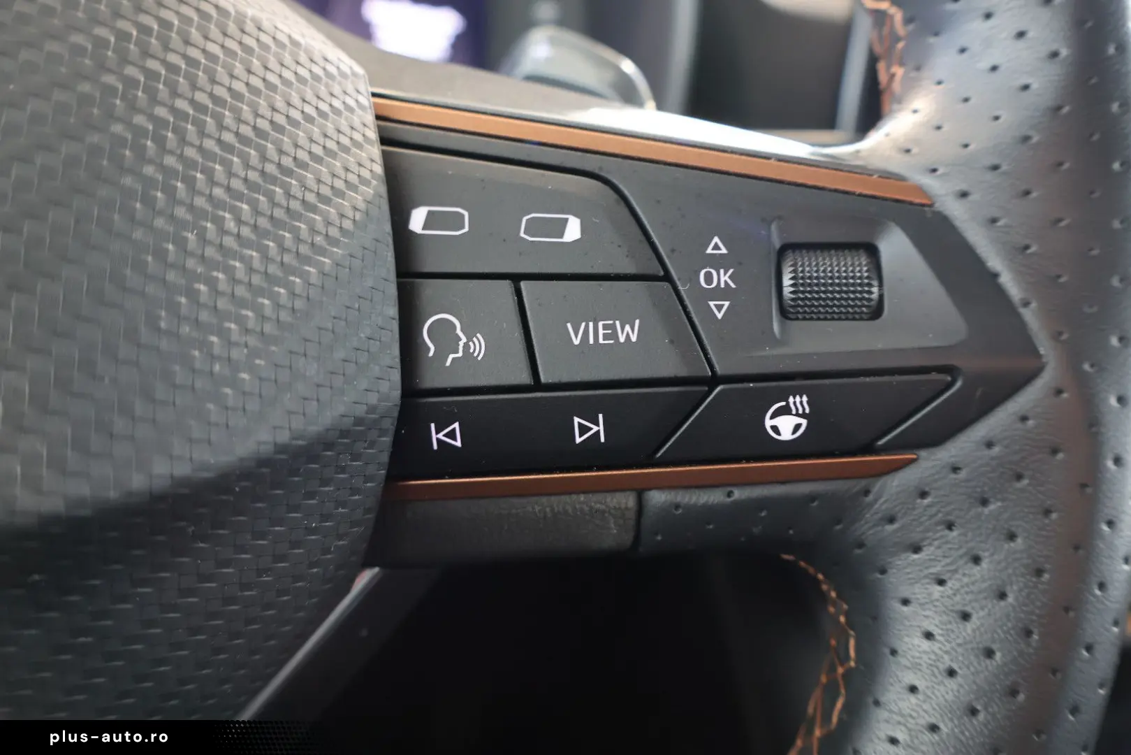 CUPRA Formentor 2.0 TDI 4Drive BEATS AID ACC SIDE 19