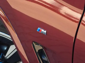 BMW iX3 (Panorama Leder Kamera)