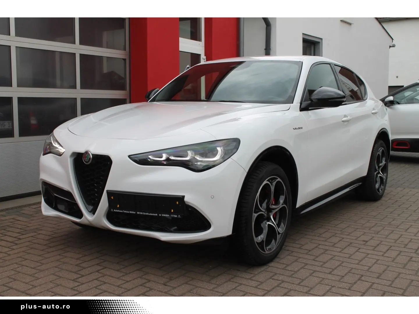 ALFA ROMEO Stelvio Veloce Q4 2.0 16V ACC Shz Navi Kamera