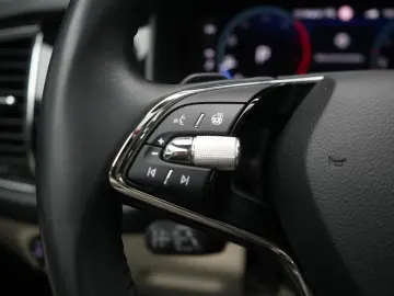 SKODA Kodiaq 2.0 TDI DSG L&K Leder ACC Kamera Canton P