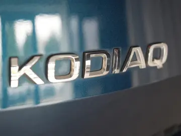 SKODA Kodiaq 2.0 TDI DSG L&K Leder ACC Kamera Canton P