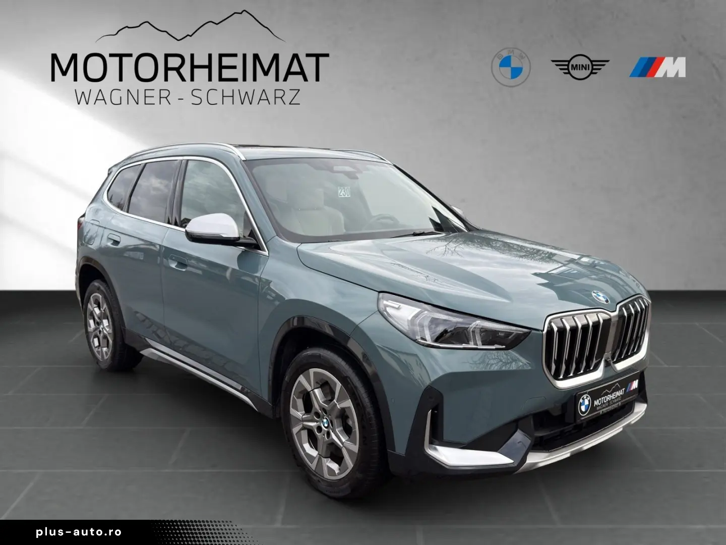BMW X1 xDrive23d xLine Lenkradhzg Panodach eSitze