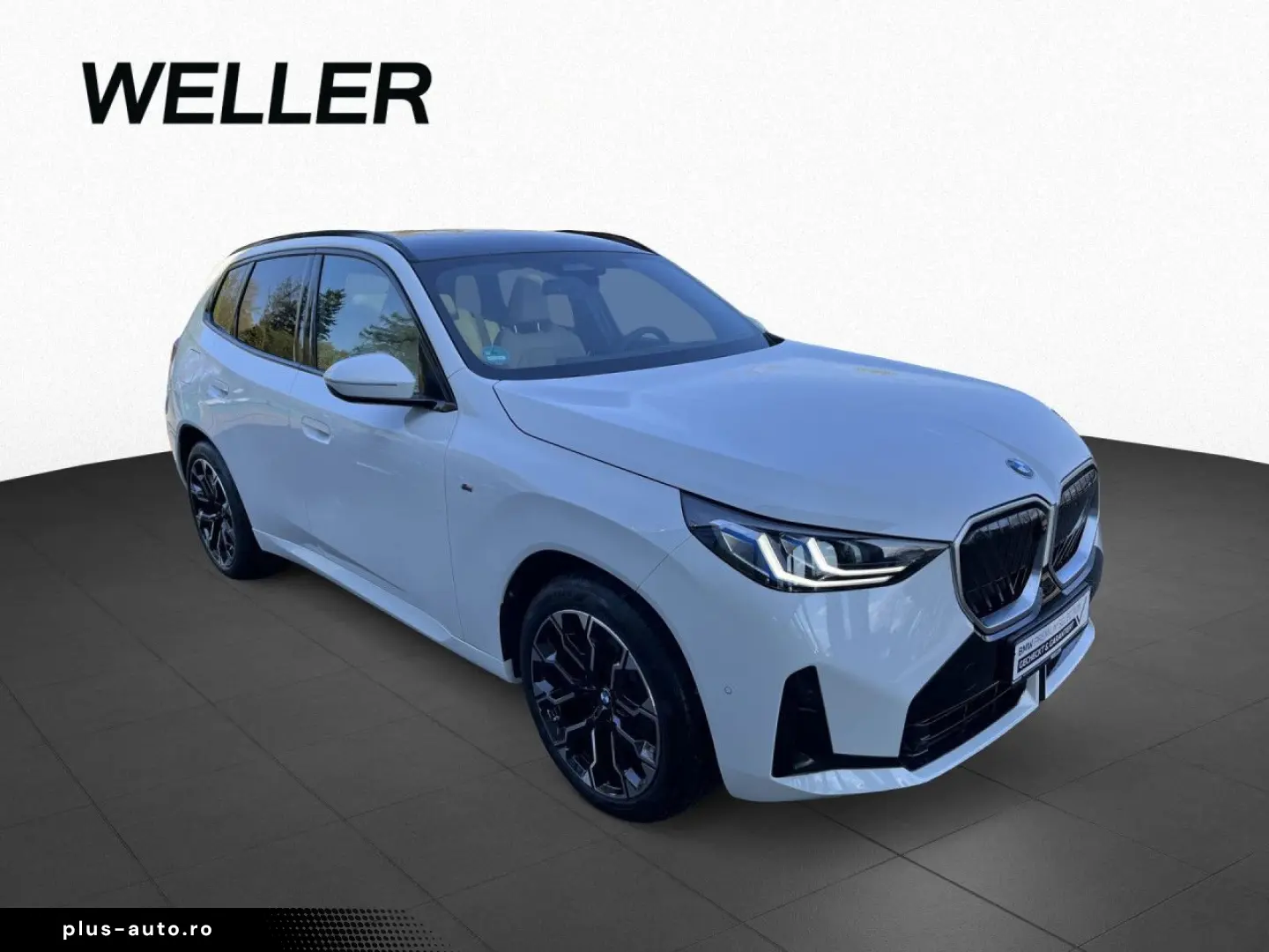 BMW X3 20D xDr M Sport DA-Prof PA  AHK Pano Sthz H K