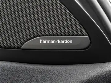 BMW X6 xDrive40d M SPORT AHK PANO H K HuD DA PROF 36