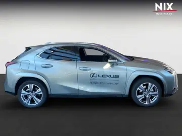 LEXUS UX 300e Entry   Luxury-Paket   HUD