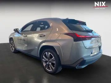 LEXUS UX 300e Entry   Luxury-Paket   HUD