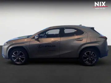 LEXUS UX 300e Entry   Luxury-Paket   HUD
