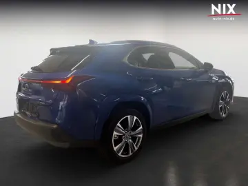 LEXUS UX 300e Entry   Luxury-Paket   HUD