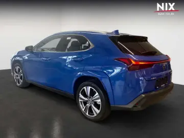 LEXUS UX 300e Entry   Luxury-Paket   HUD